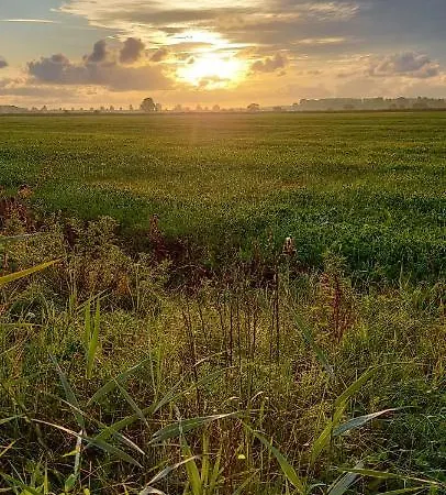 Nordsee Whng 2 * Schillig