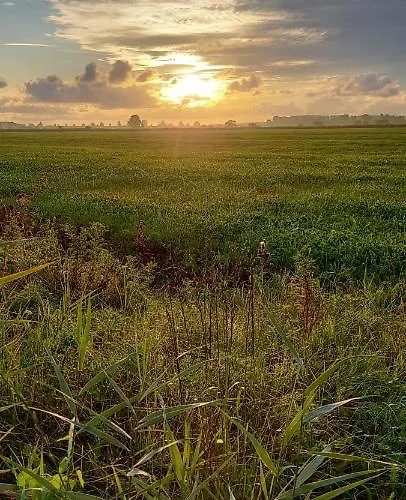 Nordsee Whng 2 * Schillig